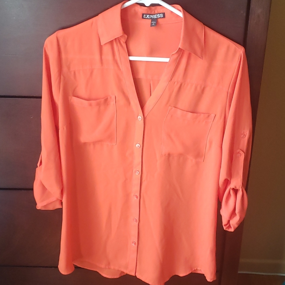 Express Chiffon Dress Shirt